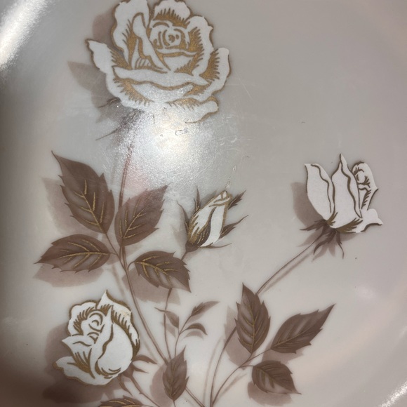 Set of 4 HTF Vintage 1960s Lenox Ware Melmac Rose Pattern Dinner Plates - Picture 4 of 6